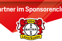 SsangYong_Motors_Deutschland_Bundesligasponsoring_Sponsorenclub_Logo_300dpi